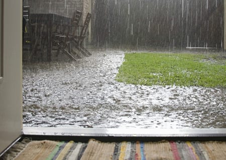 A lawn that is wet from rain and has grass on it.